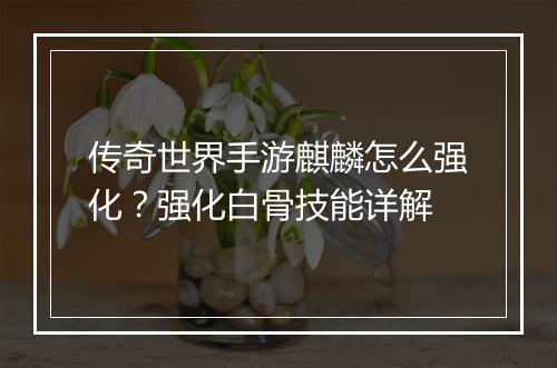 传奇世界手游麒麟怎么强化？强化白骨技能详解