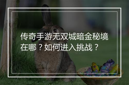 传奇手游无双城暗金秘境在哪？如何进入挑战？