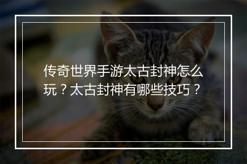 传奇世界手游太古封神怎么玩？太古封神有哪些技巧？