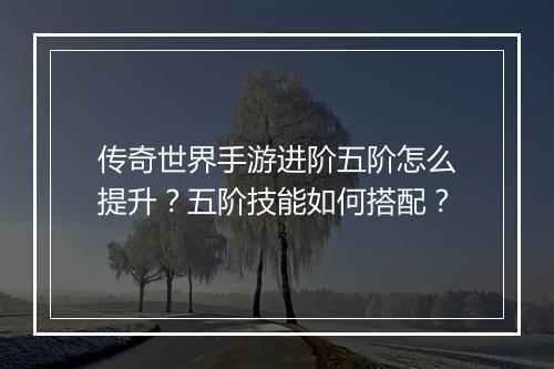 传奇世界手游进阶五阶怎么提升？五阶技能如何搭配？