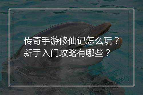 传奇手游修仙记怎么玩？新手入门攻略有哪些？