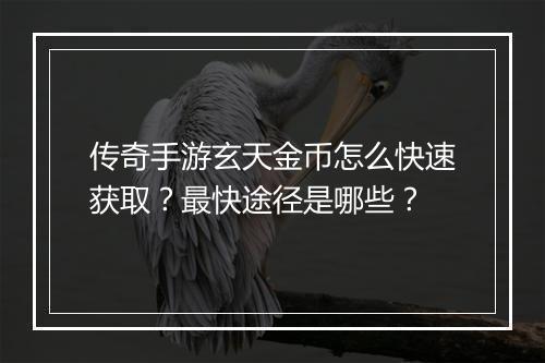 传奇手游玄天金币怎么快速获取？最快途径是哪些？