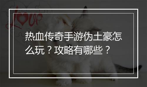 热血传奇手游伪土豪怎么玩？攻略有哪些？