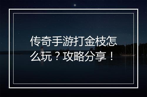 传奇手游打金枝怎么玩？攻略分享！