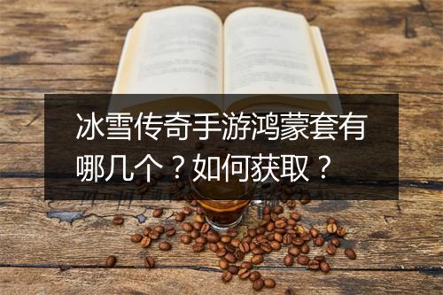 冰雪传奇手游鸿蒙套有哪几个？如何获取？
