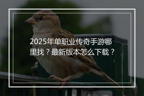 2025年单职业传奇手游哪里找？最新版本怎么下载？