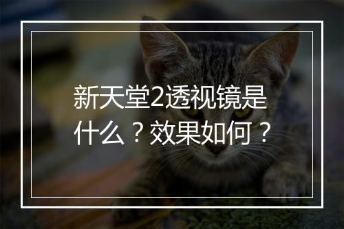 新天堂2透视镜是什么？效果如何？