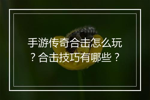 手游传奇合击怎么玩？合击技巧有哪些？