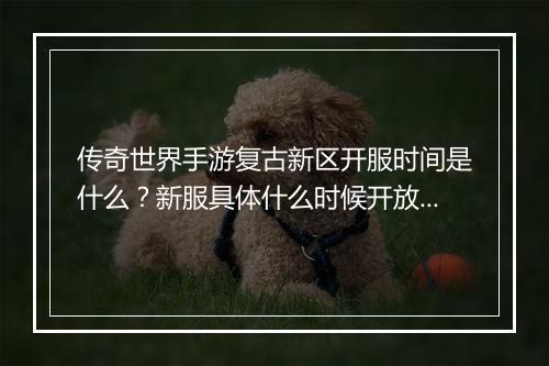 传奇世界手游复古新区开服时间是什么？新服具体什么时候开放？