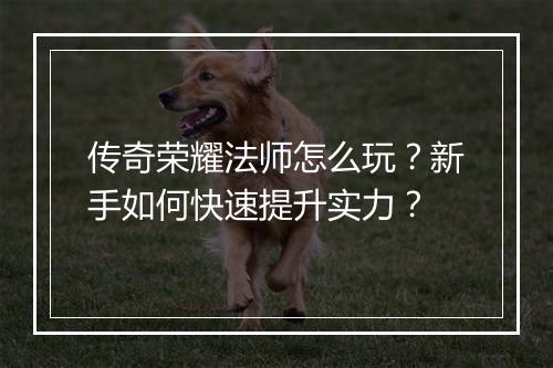 传奇荣耀法师怎么玩？新手如何快速提升实力？