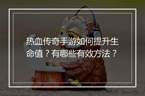 热血传奇手游如何提升生命值？有哪些有效方法？