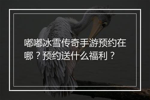嘟嘟冰雪传奇手游预约在哪？预约送什么福利？