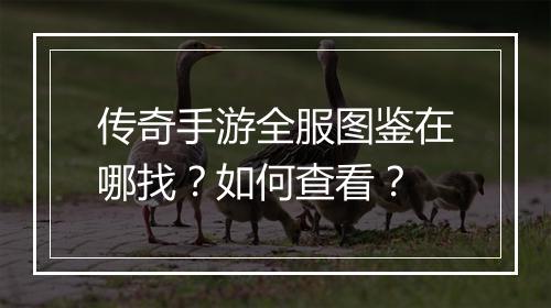 传奇手游全服图鉴在哪找？如何查看？