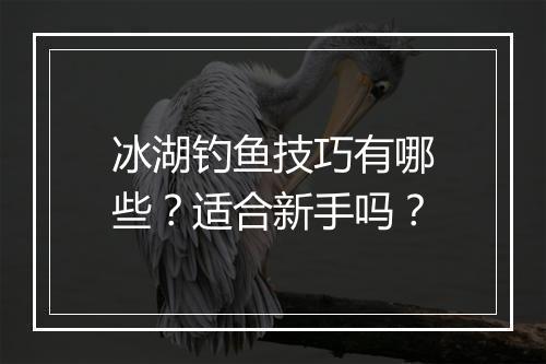 冰湖钓鱼技巧有哪些？适合新手吗？