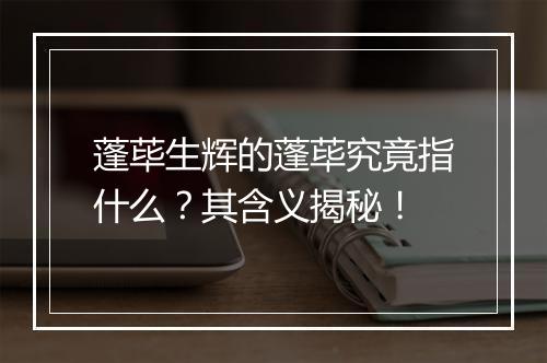 蓬荜生辉的蓬荜究竟指什么？其含义揭秘！