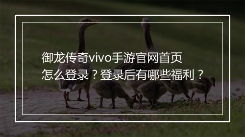 御龙传奇vivo手游官网首页怎么登录？登录后有哪些福利？
