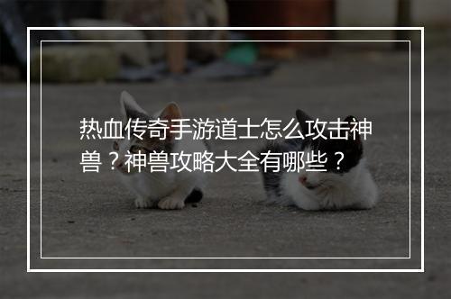 热血传奇手游道士怎么攻击神兽？神兽攻略大全有哪些？