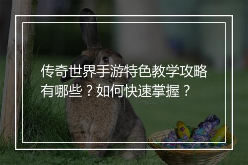 传奇世界手游特色教学攻略有哪些？如何快速掌握？