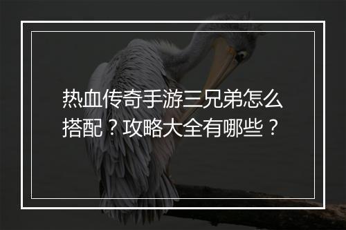 热血传奇手游三兄弟怎么搭配？攻略大全有哪些？