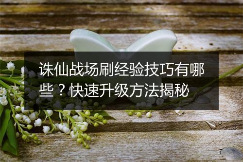 诛仙战场刷经验技巧有哪些？快速升级方法揭秘