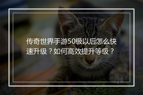 传奇世界手游50级以后怎么快速升级？如何高效提升等级？