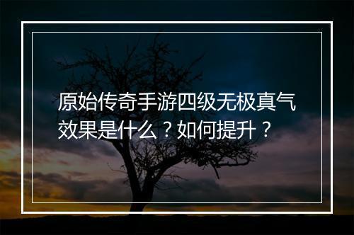 原始传奇手游四级无极真气效果是什么？如何提升？