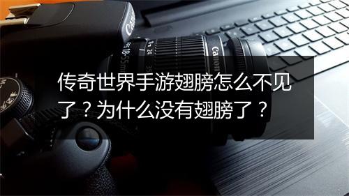 传奇世界手游翅膀怎么不见了？为什么没有翅膀了？