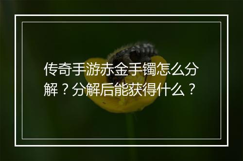 传奇手游赤金手镯怎么分解？分解后能获得什么？