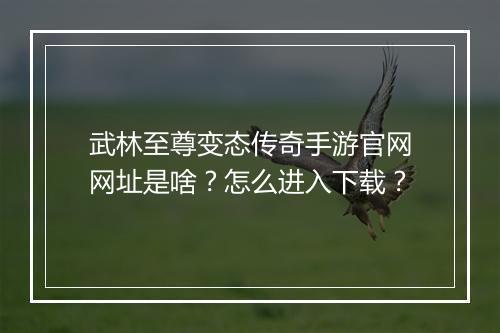武林至尊变态传奇手游官网网址是啥？怎么进入下载？