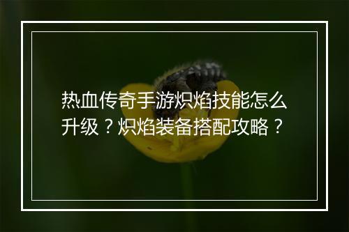 热血传奇手游炽焰技能怎么升级？炽焰装备搭配攻略？