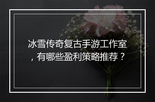冰雪传奇复古手游工作室，有哪些盈利策略推荐？