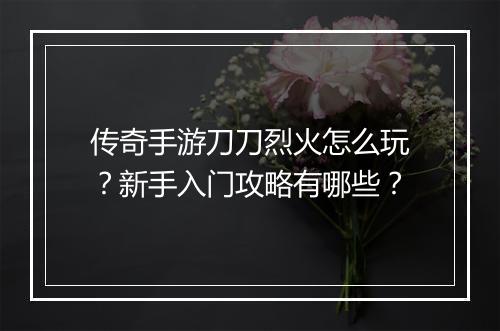 传奇手游刀刀烈火怎么玩？新手入门攻略有哪些？