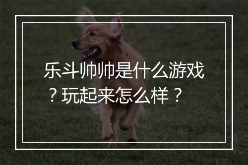 乐斗帅帅是什么游戏？玩起来怎么样？