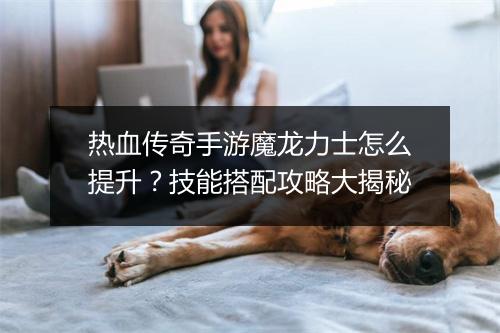 热血传奇手游魔龙力士怎么提升？技能搭配攻略大揭秘