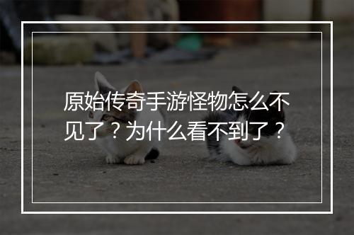 原始传奇手游怪物怎么不见了？为什么看不到了？