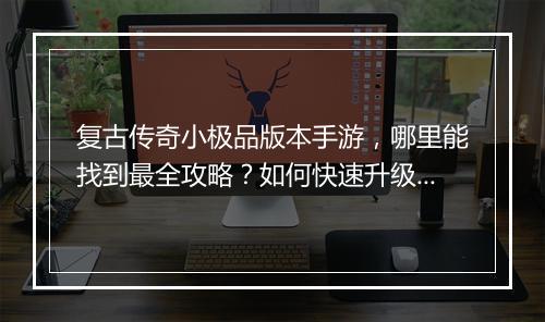 复古传奇小极品版本手游，哪里能找到最全攻略？如何快速升级？
