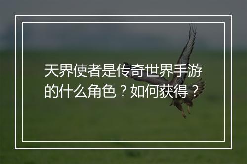 天界使者是传奇世界手游的什么角色？如何获得？