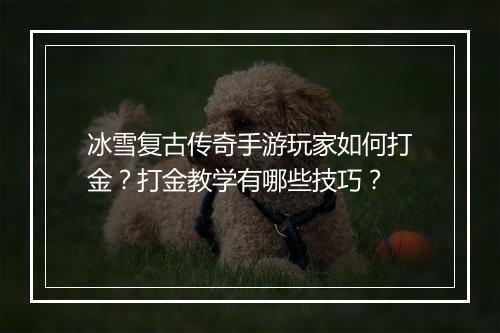 冰雪复古传奇手游玩家如何打金？打金教学有哪些技巧？
