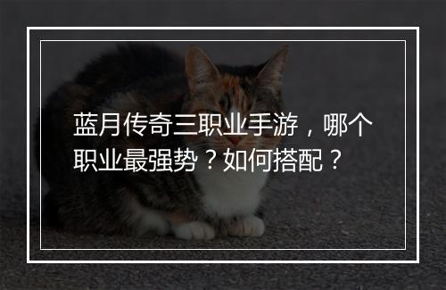 蓝月传奇三职业手游，哪个职业最强势？如何搭配？