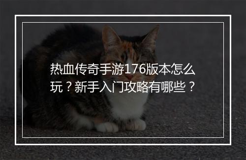 热血传奇手游176版本怎么玩？新手入门攻略有哪些？