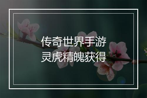 传奇世界手游灵虎精魄获得