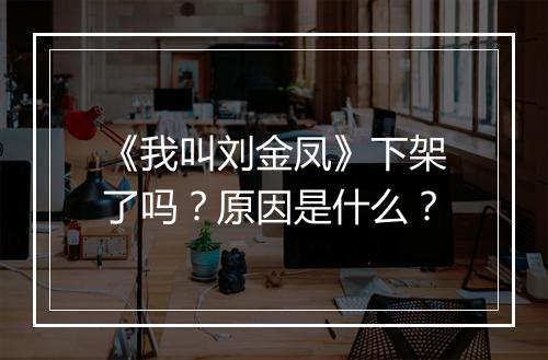 《我叫刘金凤》下架了吗？原因是什么？
