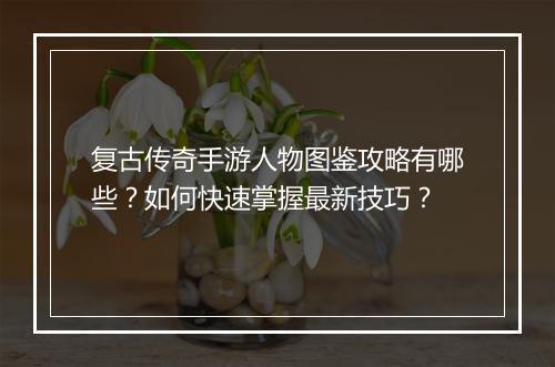 复古传奇手游人物图鉴攻略有哪些？如何快速掌握最新技巧？