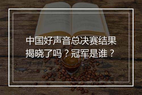中国好声音总决赛结果揭晓了吗？冠军是谁？