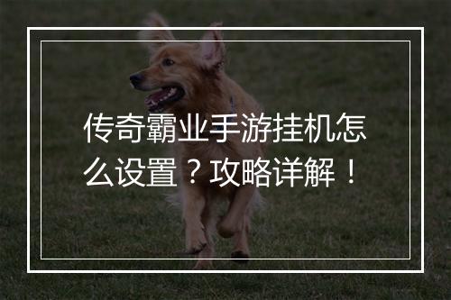 传奇霸业手游挂机怎么设置？攻略详解！