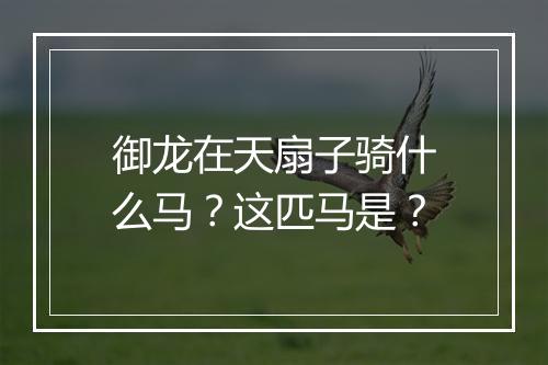 御龙在天扇子骑什么马？这匹马是？