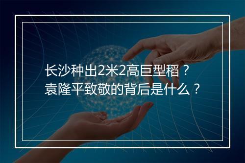 长沙种出2米2高巨型稻？袁隆平致敬的背后是什么？