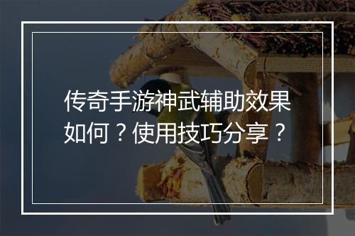 传奇手游神武辅助效果如何？使用技巧分享？