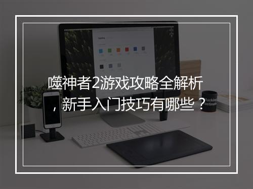 噬神者2游戏攻略全解析，新手入门技巧有哪些？