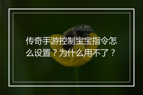 传奇手游控制宝宝指令怎么设置?为什么用不了?